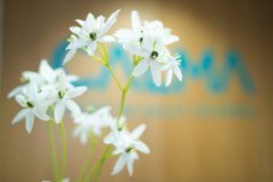 240318centrecalma-2 Institucional